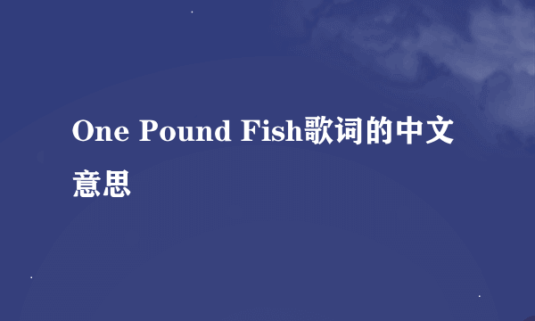 One Pound Fish歌词的中文意思