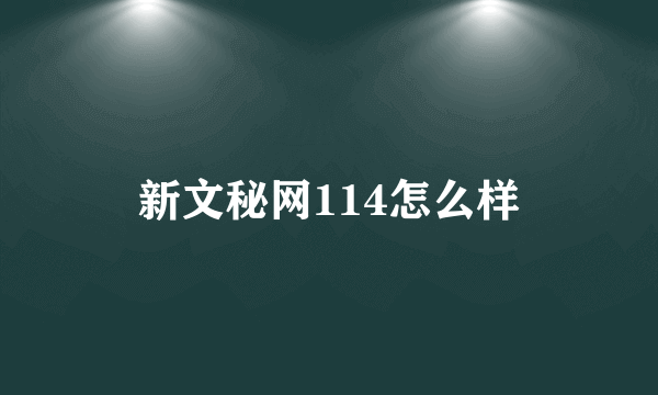 新文秘网114怎么样