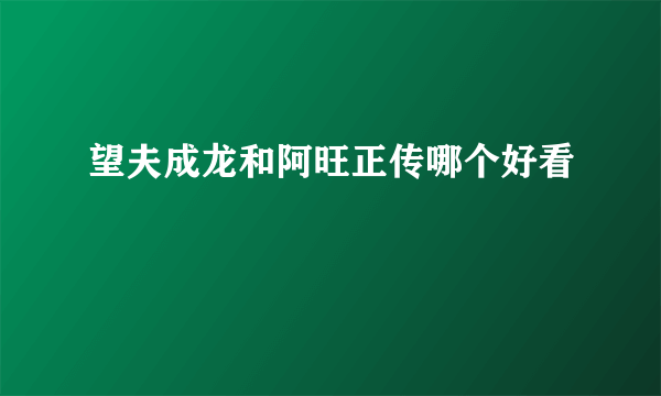 望夫成龙和阿旺正传哪个好看