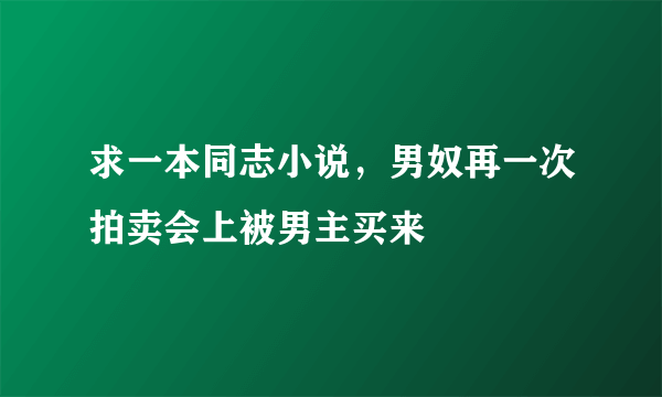 求一本同志小说，男奴再一次拍卖会上被男主买来