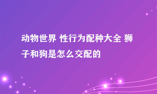 动物世界 性行为配种大全 狮子和狗是怎么交配的