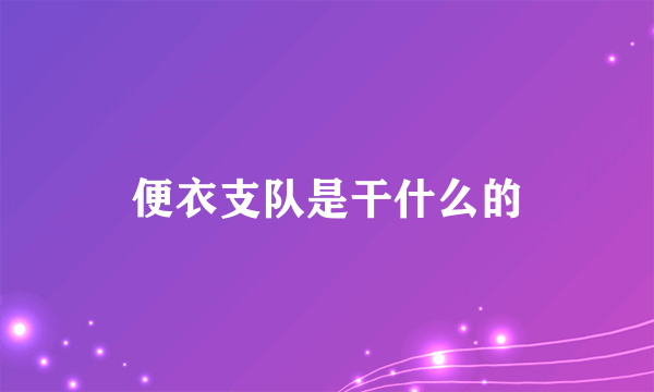 便衣支队是干什么的