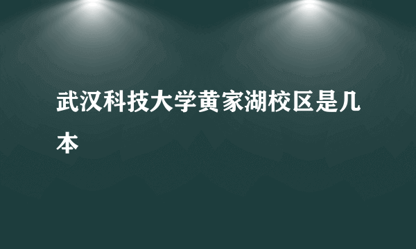 武汉科技大学黄家湖校区是几本