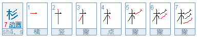 杉这个字怎么组词和造句