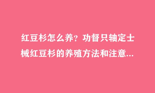 红豆杉怎么养？功督只轴定士械红豆杉的养殖方法和注意事项是什么？