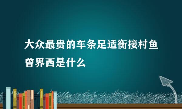 大众最贵的车条足适衡接村鱼曾界西是什么