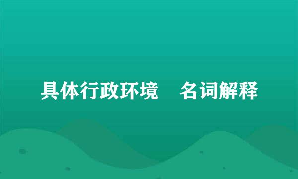 具体行政环境 名词解释