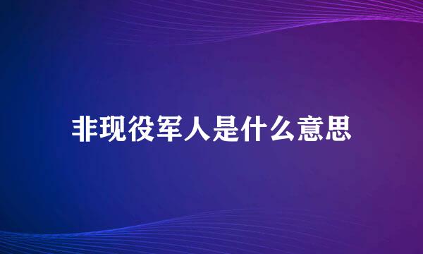 非现役军人是什么意思