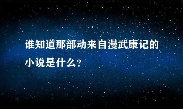 谁知道那部动来自漫武康记的小说是什么？