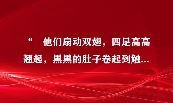 “ 他们扇动双翅，四足高高翘起，黑黑的肚子卷起到触到黄色的足”是什么动物？