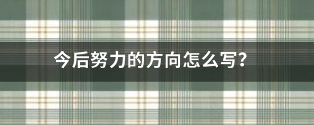 今后努力的方向怎么写？