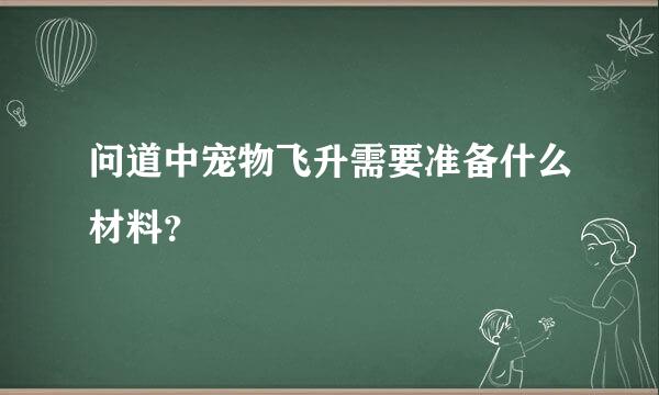 问道中宠物飞升需要准备什么材料？