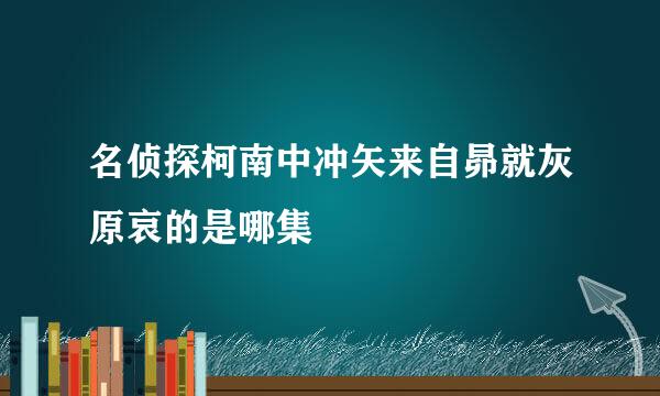 名侦探柯南中冲矢来自昴就灰原哀的是哪集