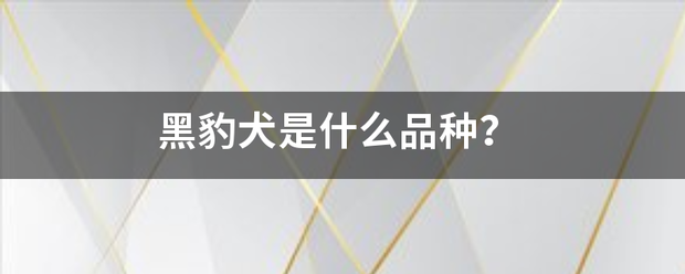 黑豹犬是什么来自品种？