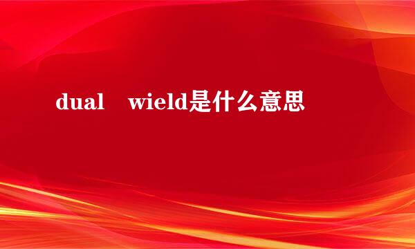 dual wield是什么意思