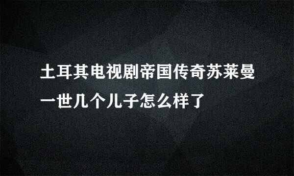 土耳其电视剧帝国传奇苏莱曼一世几个儿子怎么样了