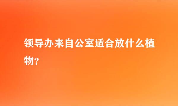 领导办来自公室适合放什么植物？