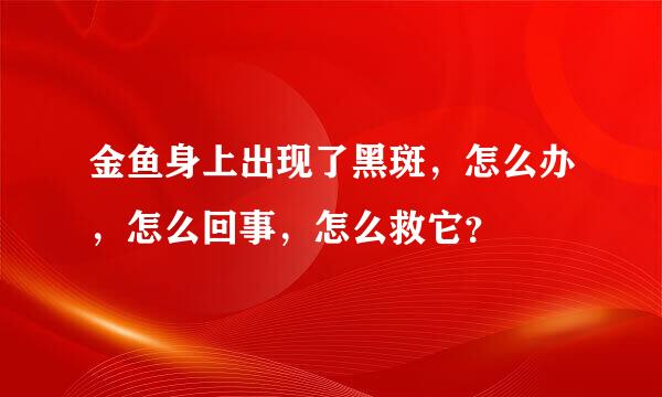 金鱼身上出现了黑斑，怎么办，怎么回事，怎么救它？