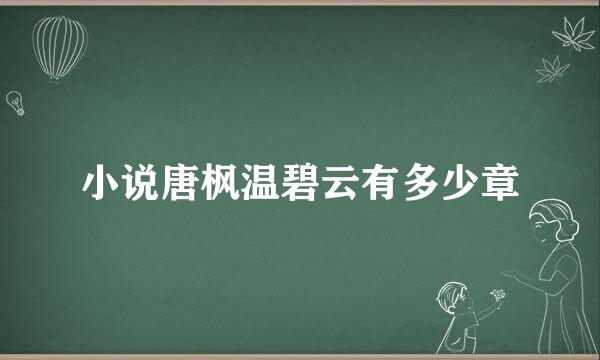 小说唐枫温碧云有多少章