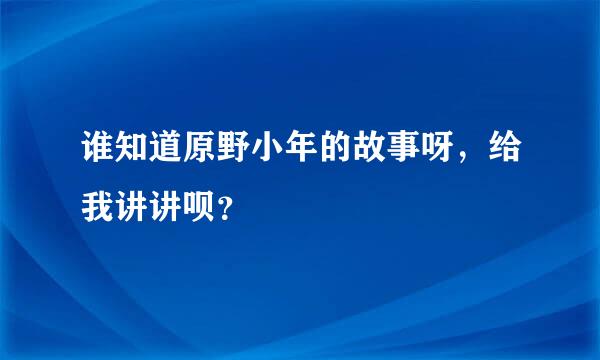 谁知道原野小年的故事呀，给我讲讲呗？