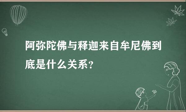 阿弥陀佛与释迦来自牟尼佛到底是什么关系？