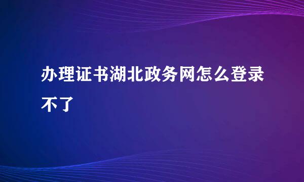 办理证书湖北政务网怎么登录不了