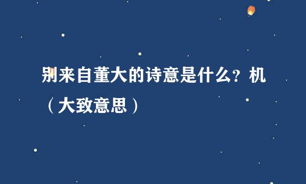 别来自董大的诗意是什么？机（大致意思）