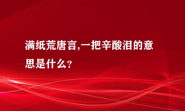 满纸荒唐言,一把辛酸泪的意思是什么？