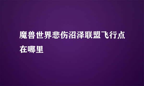 魔兽世界悲伤沼泽联盟飞行点在哪里