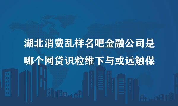 湖北消费乱样名吧金融公司是哪个网贷识粒维下与或远触保