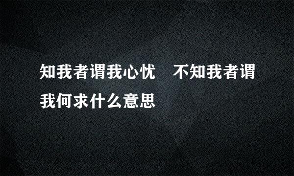 知我者谓我心忧 不知我者谓我何求什么意思