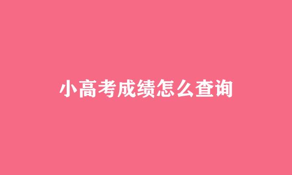 小高考成绩怎么查询