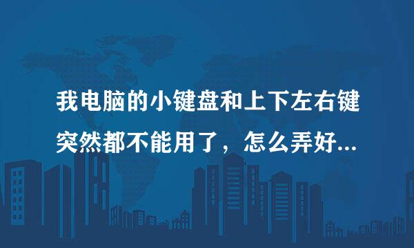 我电脑的小键盘和上下左右键突然都不能用了，怎么弄好？？？阻面支是啊已得段？！！急！！！