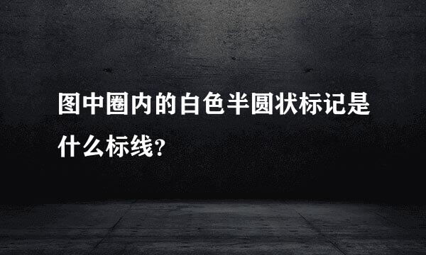 图中圈内的白色半圆状标记是什么标线？