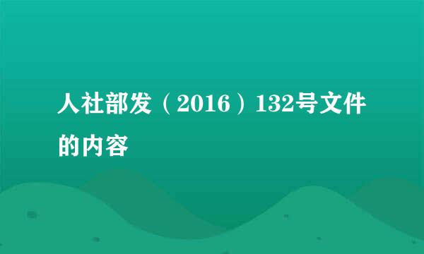 人社部发（2016）132号文件的内容