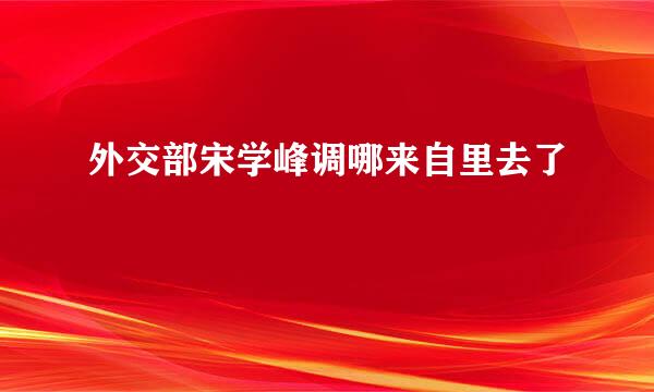 外交部宋学峰调哪来自里去了