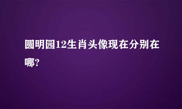 圆明园12生肖头像现在分别在哪?