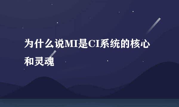 为什么说MI是CI系统的核心和灵魂