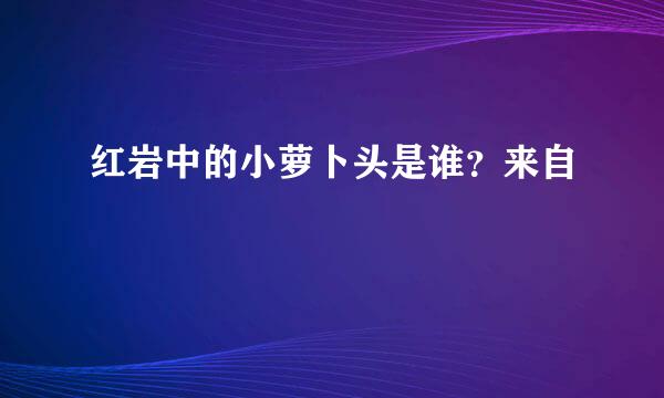 红岩中的小萝卜头是谁？来自