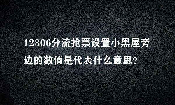 12306分流抢票设置小黑屋旁边的数值是代表什么意思？