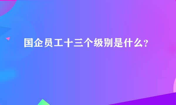 国企员工十三个级别是什么？