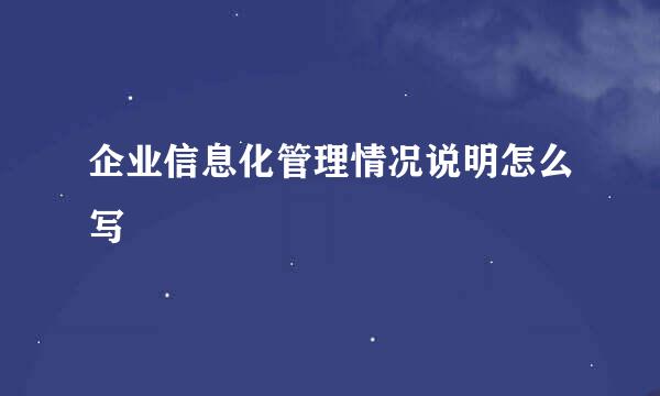 企业信息化管理情况说明怎么写