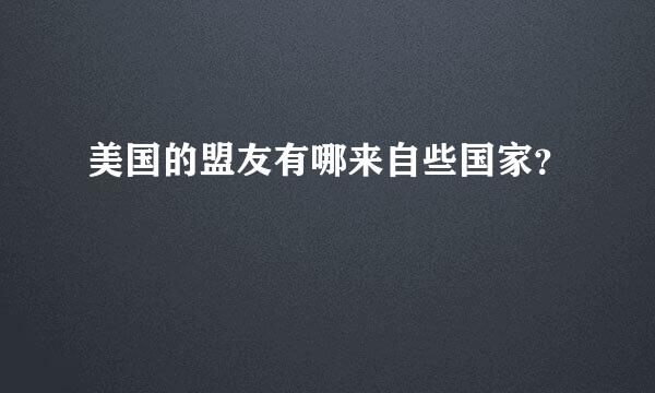 美国的盟友有哪来自些国家？