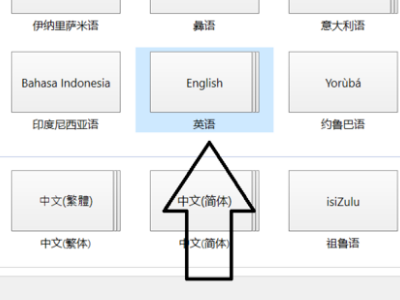 为什么LOL游戏里打字不显示选择框