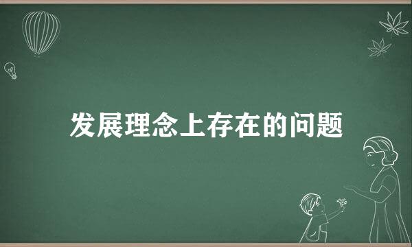 发展理念上存在的问题