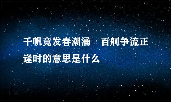 千帆竞发春潮涌 百舸争流正逢时的意思是什么