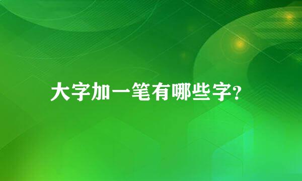 大字加一笔有哪些字？