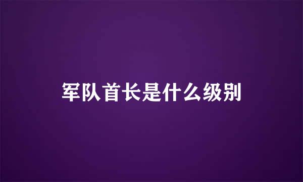 军队首长是什么级别