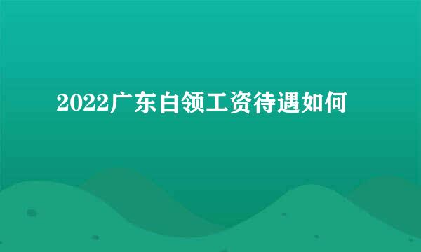 2022广东白领工资待遇如何