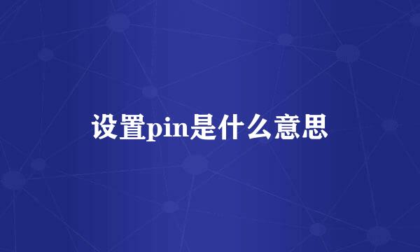 设置pin是什么意思